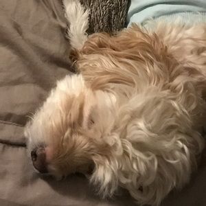 Meet your Posher, Kristine